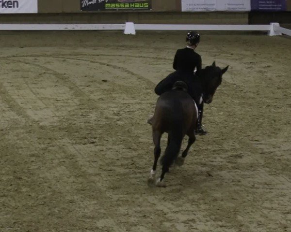 Reitturnier Oelde 2025