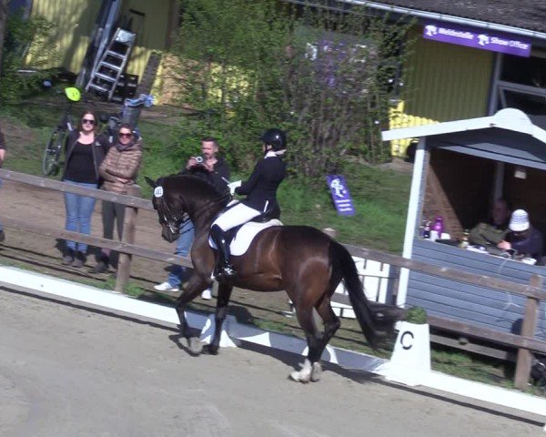 Reitturnier Scharnebeck 2025