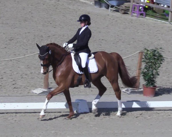 Reitturnier Scharnebeck 2025