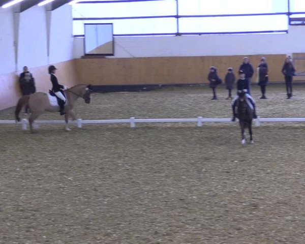 Reitturnier Datteln 2021