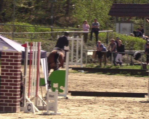 Reitturnier Langenleuba - Oberhain 2025