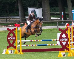 jumper Inya F (Hanoverian, 2007, from Iberio)