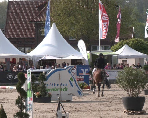 Lenklarer Reitertage Werne 2025