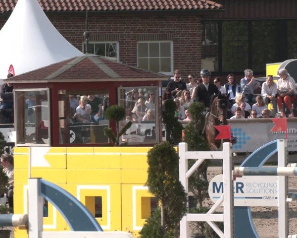 Lenklarer Reitertage Werne 2025