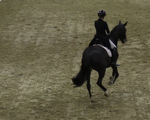Reitturnier Oelde 2025