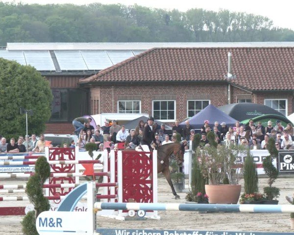 Reitturnier Werne-Lenklar 2025