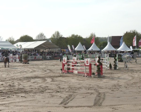 Reitturnier Werne-Lenklar 2025