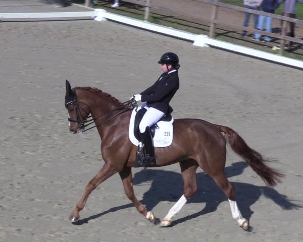 Reitturnier Scharnebeck 2025