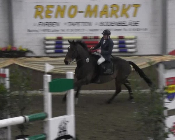 10. Emsländischer Jumping Day