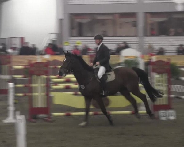 10. Emsländischer Jumping Day