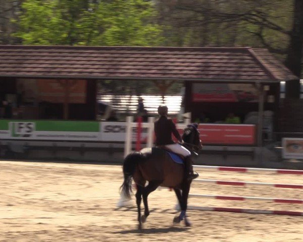 Reitturnier Langenleuba - Oberhain 2025