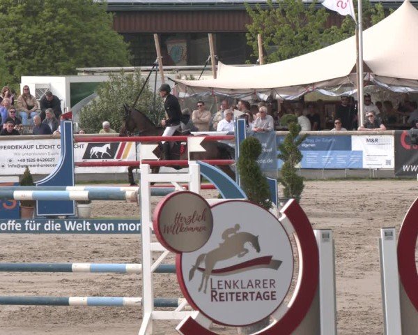 Reitturnier Werne-Lenklar 2025