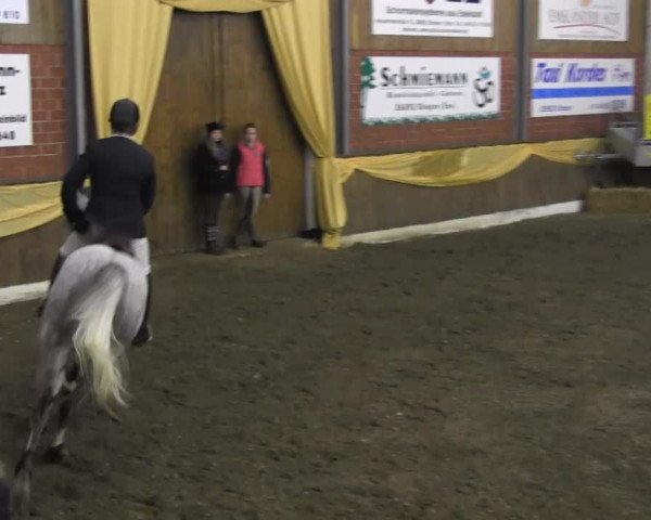 10. Emsländischer Jumping Day