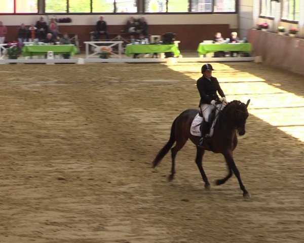 Reitturnier Werne-Lenklar 2025