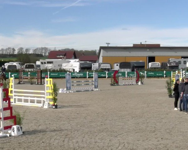 Reitturnier Sauldorf-Boll 2025