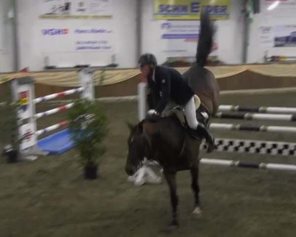 10. Emsländischer Jumping Day