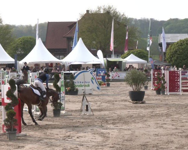 Reitturnier Werne-Lenklar 2025