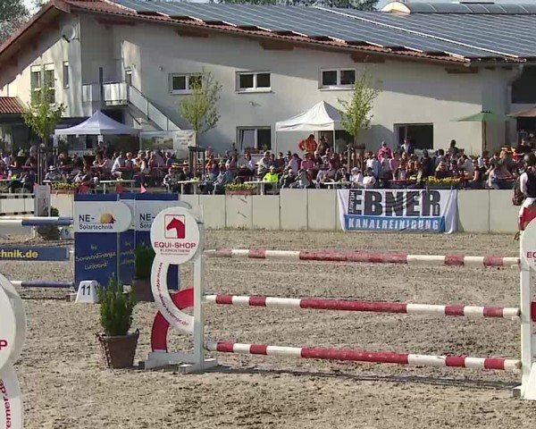 Reitturnier Grafenrheinfeld/Ufr. 2025