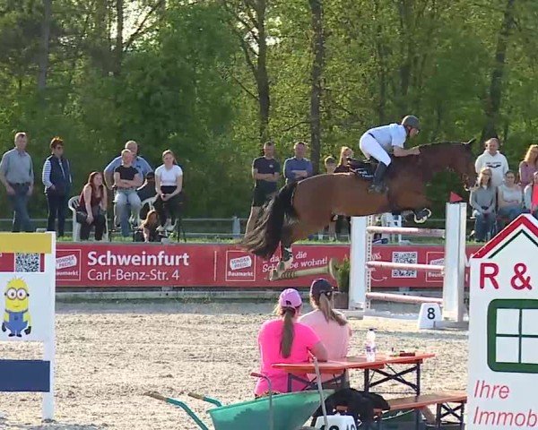 Reitturnier Grafenrheinfeld/Ufr. 2025