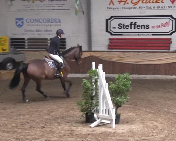 10. Emsländischer Jumping Day