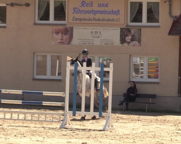 Reitturnier Langenleuba - Oberhain 2025