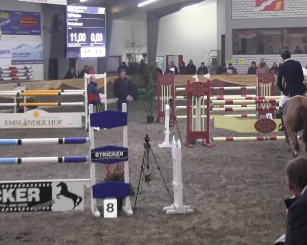 10. Emsländischer Jumping Day