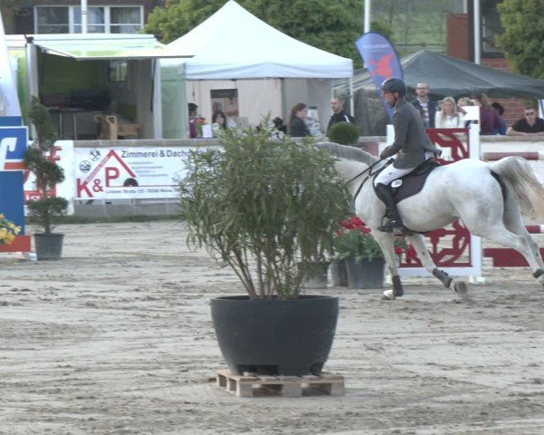 Reitturnier Werne-Lenklar 2025