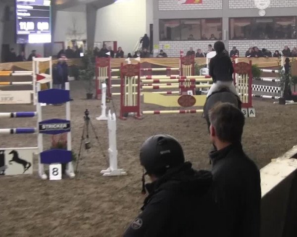 10. Emsländischer Jumping Day