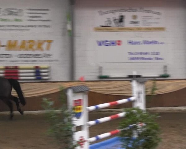 10. Emsländischer Jumping Day