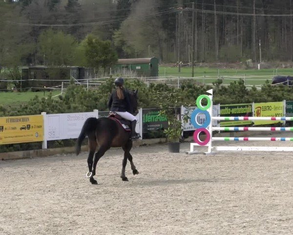 Reitturnier Sauldorf-Boll 2025