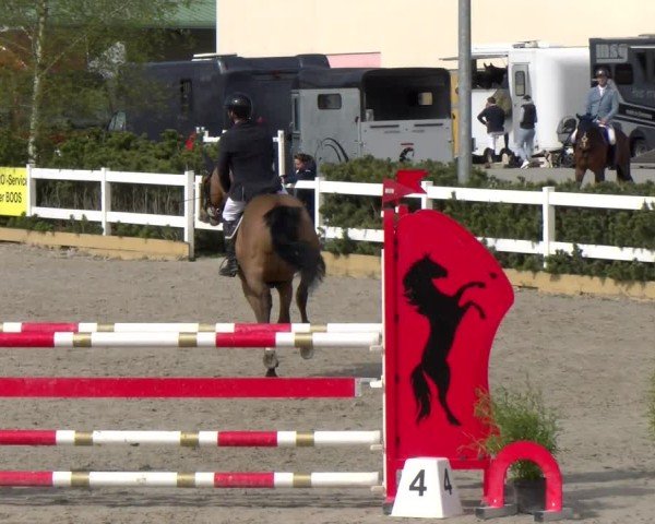 Reitturnier Sauldorf-Boll 2025