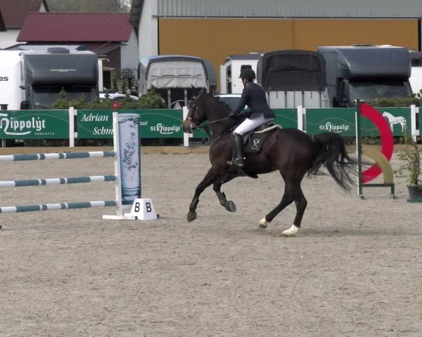 Reitturnier Sauldorf-Boll 2025