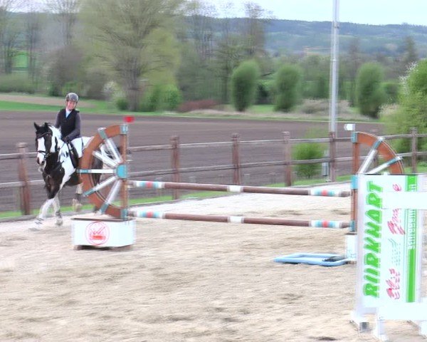 Reitturnier Pöttmes - Gut Sedlbrunn/Schw. 2025