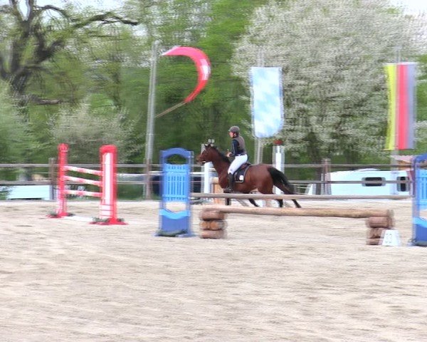 Reitturnier Pöttmes - Gut Sedlbrunn/Schw. 2025