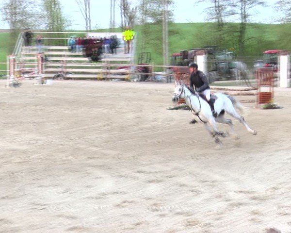 Reitturnier Pöttmes - Gut Sedlbrunn/Schw. 2025