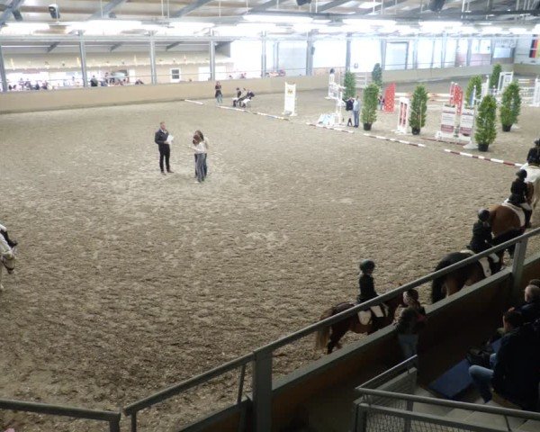 Reitturnier Waghäusel-Wiesental 2025