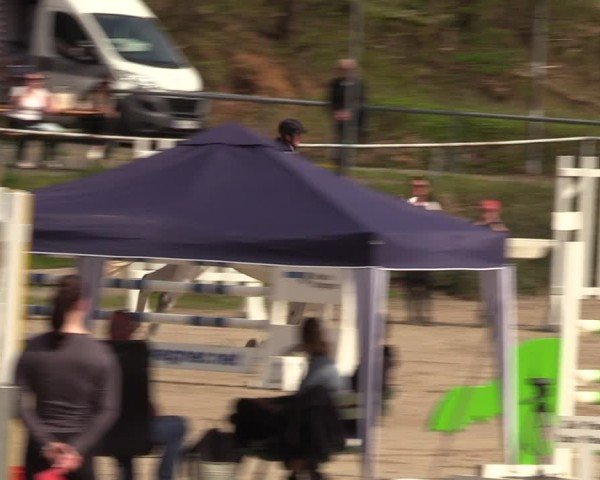Reitturnier Langenleuba - Oberhain 2025