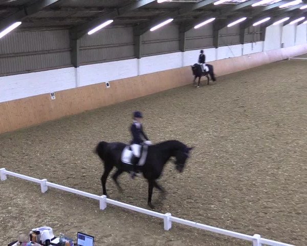 Reitturnier Datteln 2021
