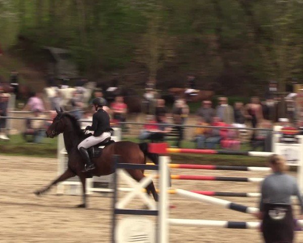 Reitturnier Langenleuba - Oberhain 2025