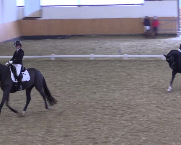 Reitturnier Datteln 2021