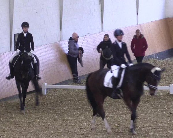 Reitturnier Datteln 2021