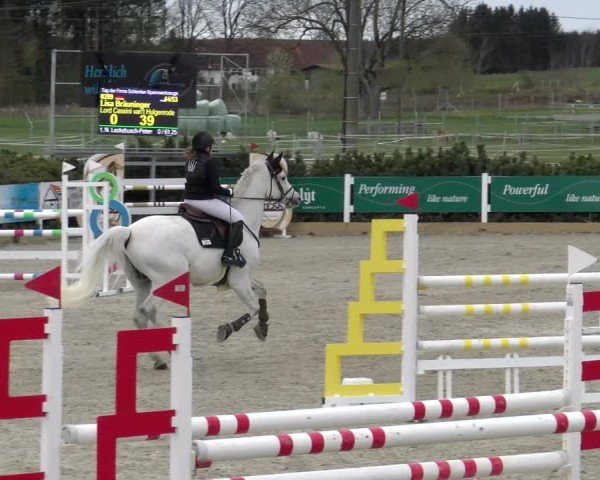 Reitturnier Sauldorf-Boll 2025