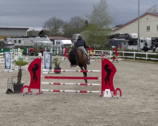 Reitturnier Sauldorf-Boll 2025