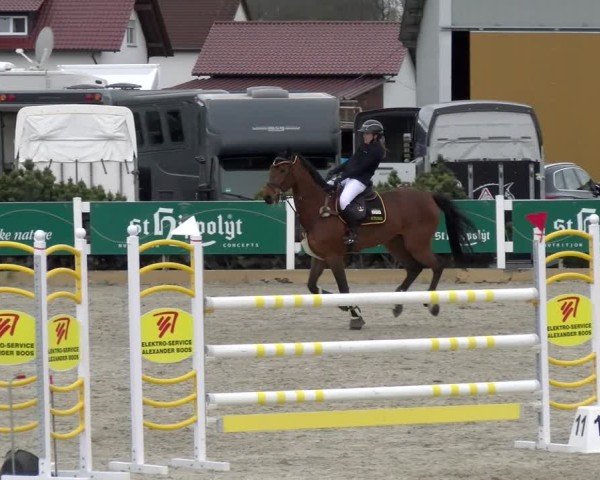 Reitturnier Sauldorf-Boll 2025