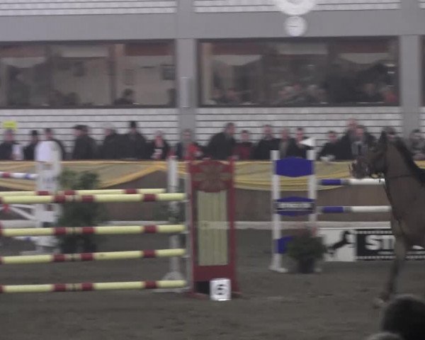 10. Emsländischer Jumping Day