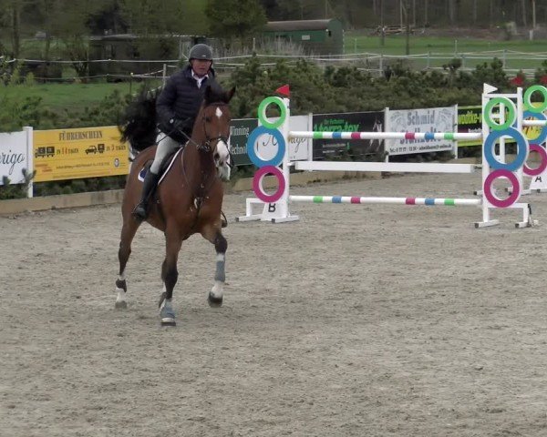 Reitturnier Sauldorf-Boll 2025