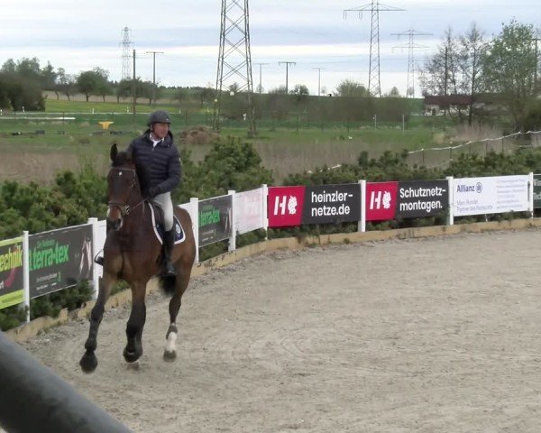 Reitturnier Sauldorf-Boll 2025