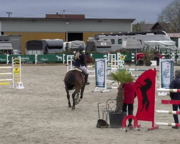 Reitturnier Sauldorf-Boll 2025