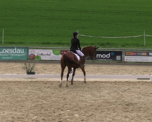 Reitturnier Duderstadt 2025