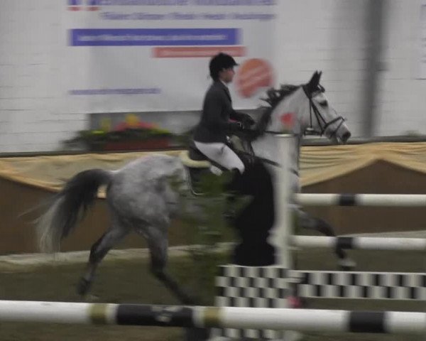 10. Emsländischer Jumping Day